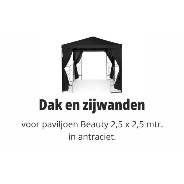 Beauty 2,5x2,5 m Set Dak en zijwanden Antraciet